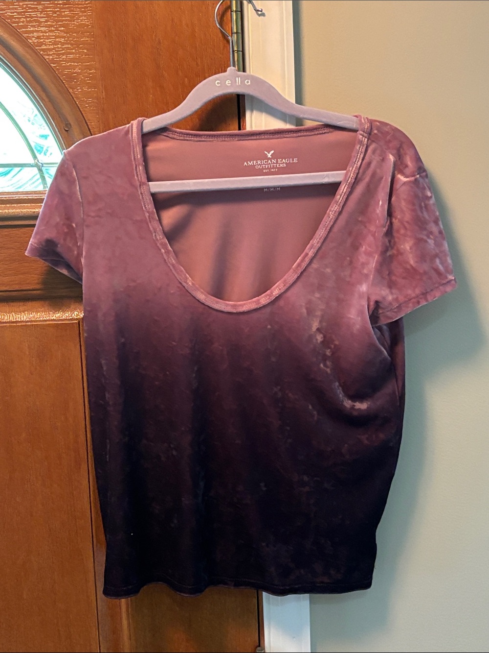 American Eagle Outfitters Women's Scoop Neck Velvet Tee - Mauve Ombre